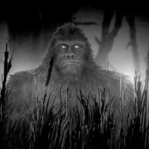 Meet your Posher, Vance bubba